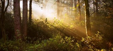 ff6ebd843972940ac9f9f0011f8f74ce